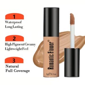 6 colors waterproof long lasting Concealer