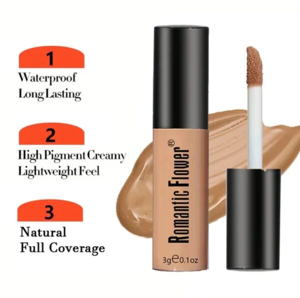 6 colors waterproof long lasting Concealer