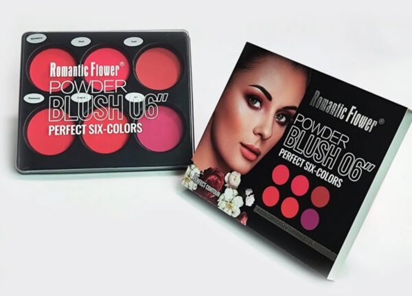 6 color waterproof makeup powder blush