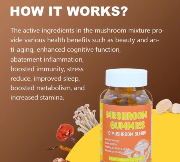 Pure natural plants mushroom gummies for healthy digestion