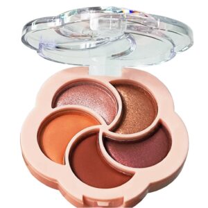5 colors makeup waterproof matte eye shadow
