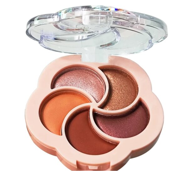 5 colors makeup waterproof matte eye shadow