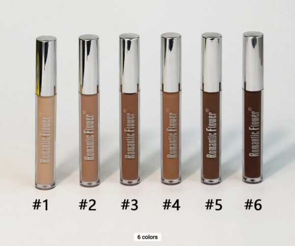 6 colors waterproof face makeup tube concealer for dark skin - Image 3