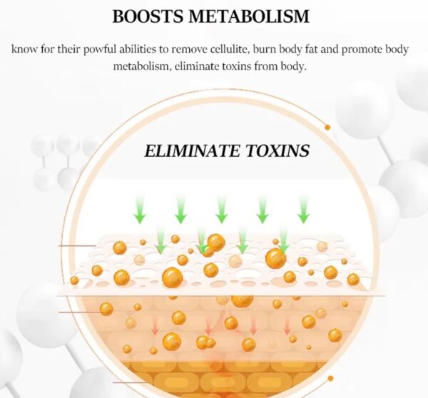 Flat tummy and anti cellulite oil